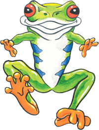 frog-single-min