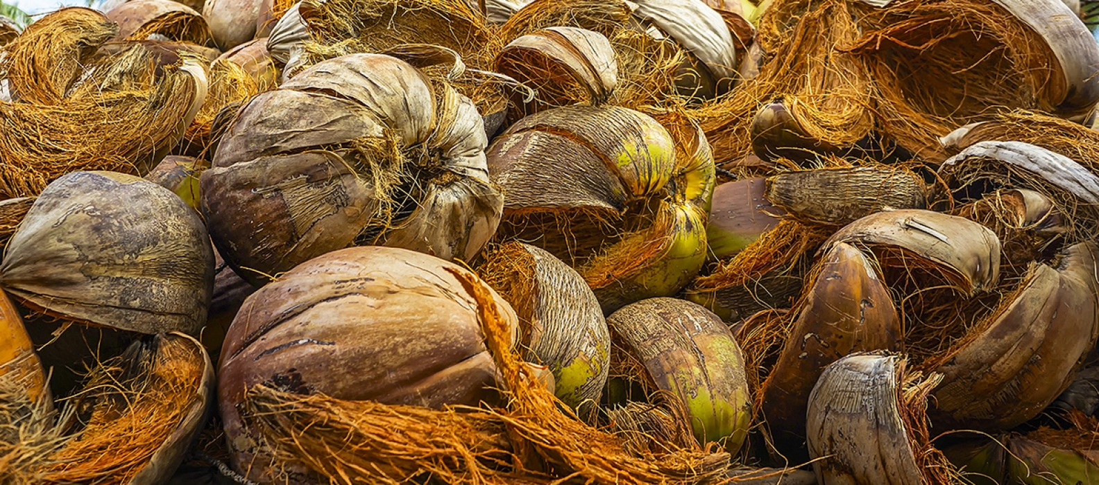 Growing Tips FoxFarm Soil & Fertilizer Company